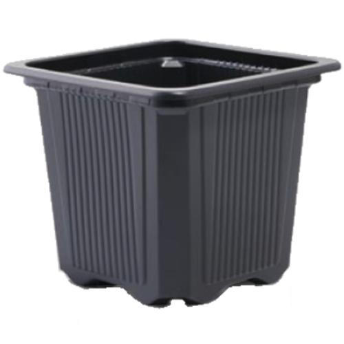 گلدان پلاستیکی گلخانه ای